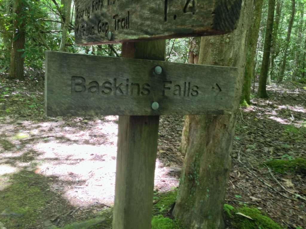 Open space and nature trails may be within walking distance of your cabin.