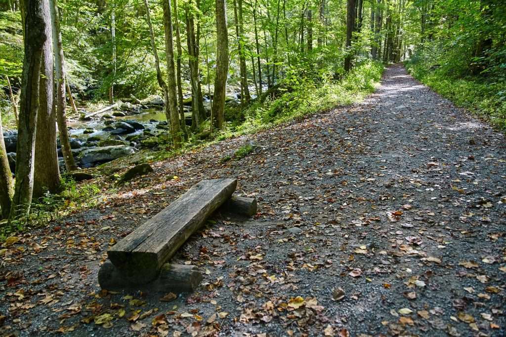 Bike rides with friends are one of the best Gatlinburg fun activities to do.